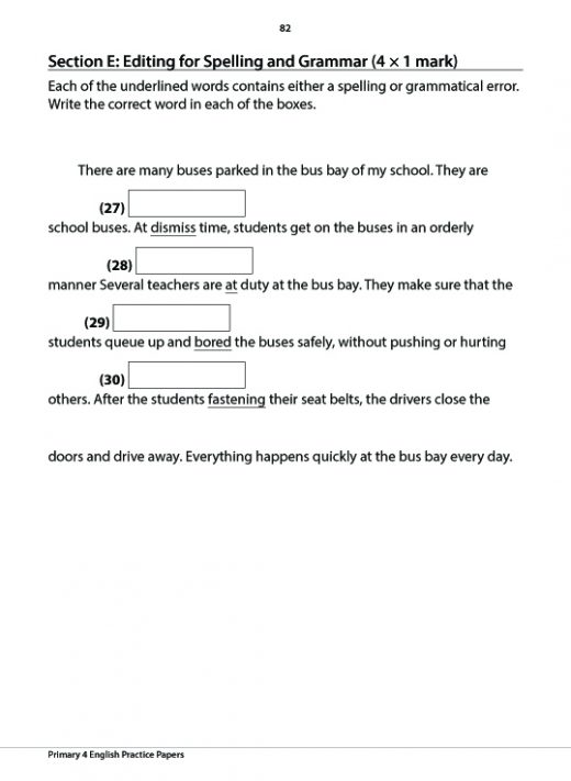 Types of essay for primary school image