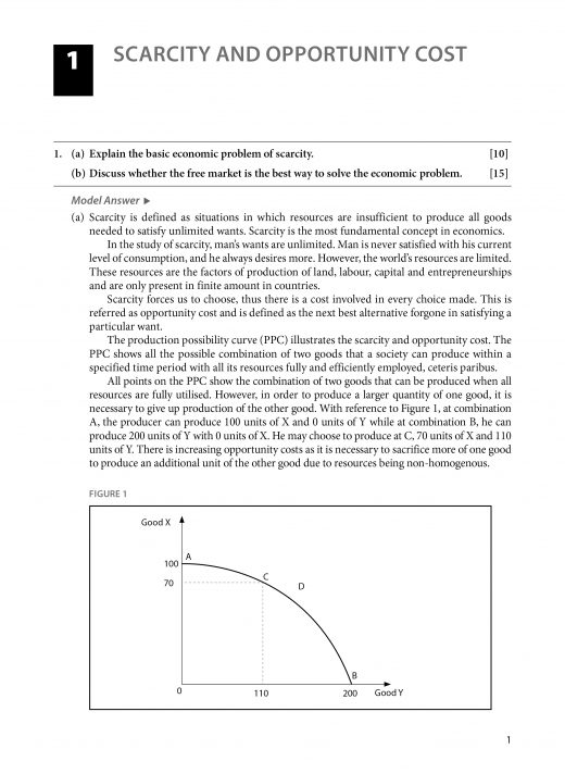 Cie as economics model essay image