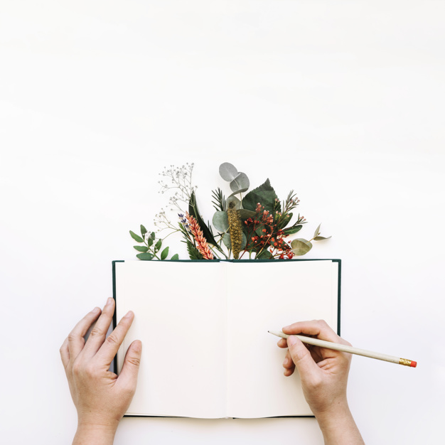 Hands Writing in Open Book