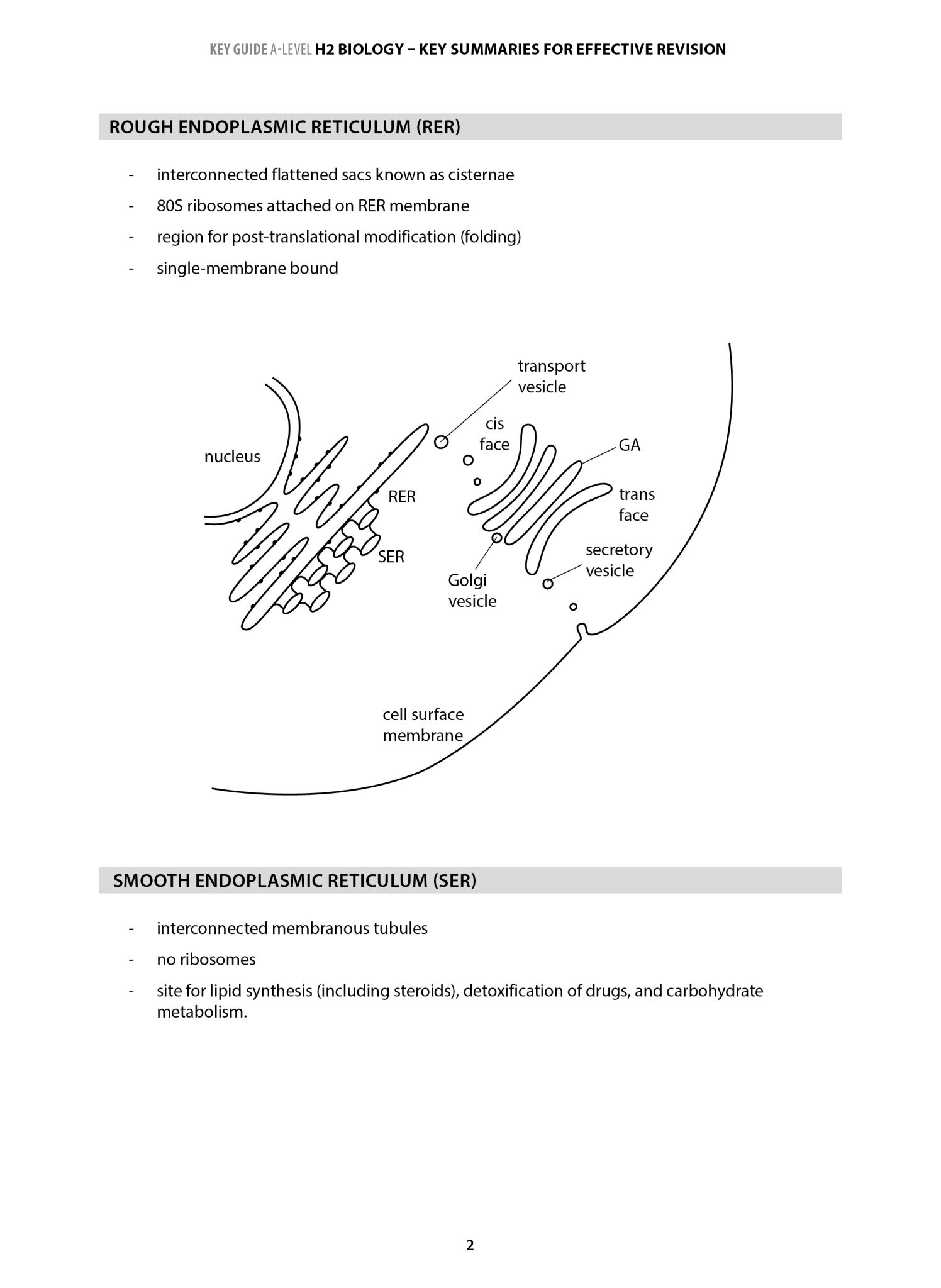 h2 biology essay questions