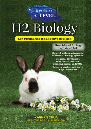 Key Guide H2 Bio Summaries