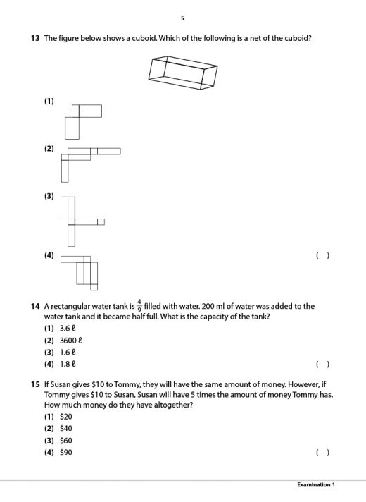 Primary 6 Mathematics Practice Papers - CPD Singapore Education ...