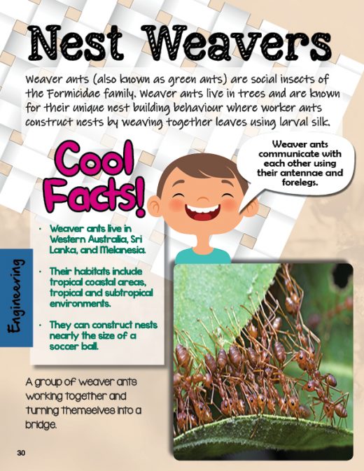 Steam Magazine Steam Explorers Subscription Cpd Singapore