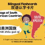 Flags of South American Countries 南美洲国旗