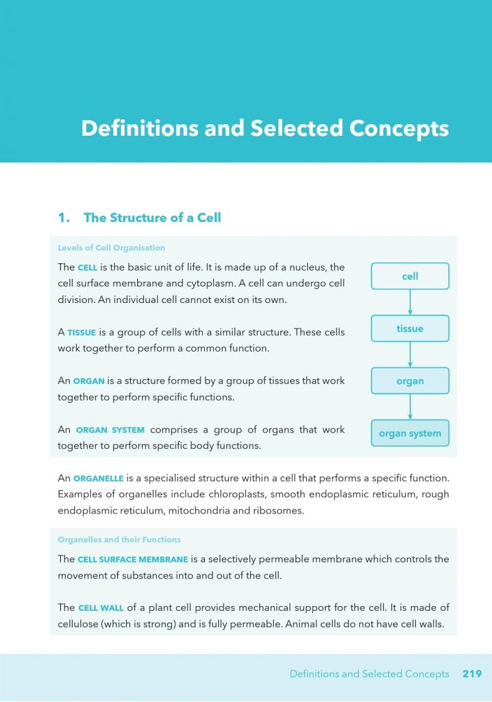 First class biology essay example picture