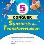 Primary 5 Conquer Synthesis and Transformation