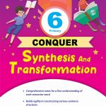 Primary 6 Conquer Synthesis and Transformation