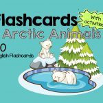 Arctic Animals (with activities)
