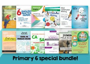 Primary 6 Special Bundle
