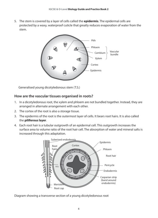 IGCSE and O-Level Biology Guide and Practice Book 2 - CPD Singapore ...