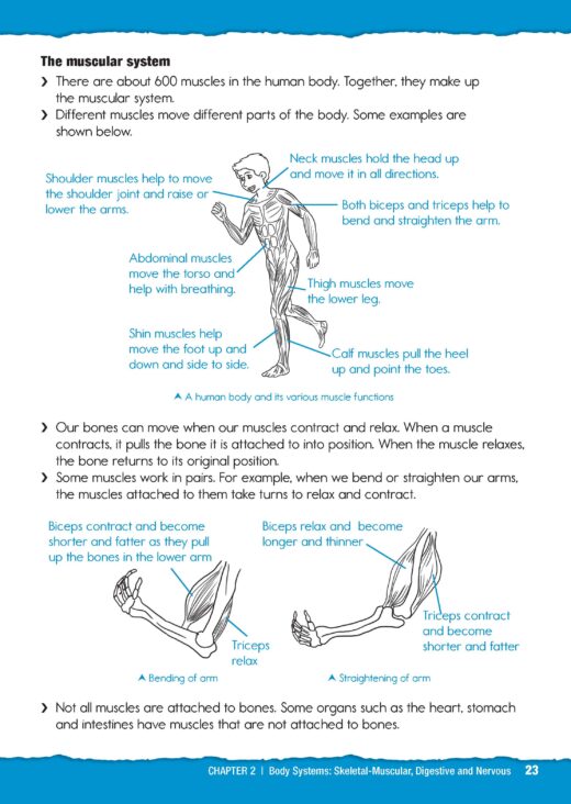 Practice for Primary Science Checkpoint 5 - CPD Singapore Education ...