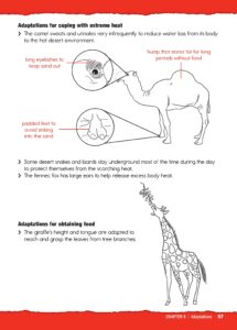 Practice for Primary Science Checkpoint 6 - CPD Singapore Education ...