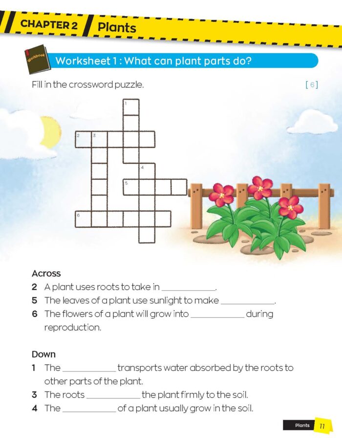 Active Science Workbook 3 - CPD Singapore Education Services Pte Ltd