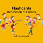Interaction of Forces