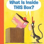 What is Inside This Box? (Monkey & Cake)