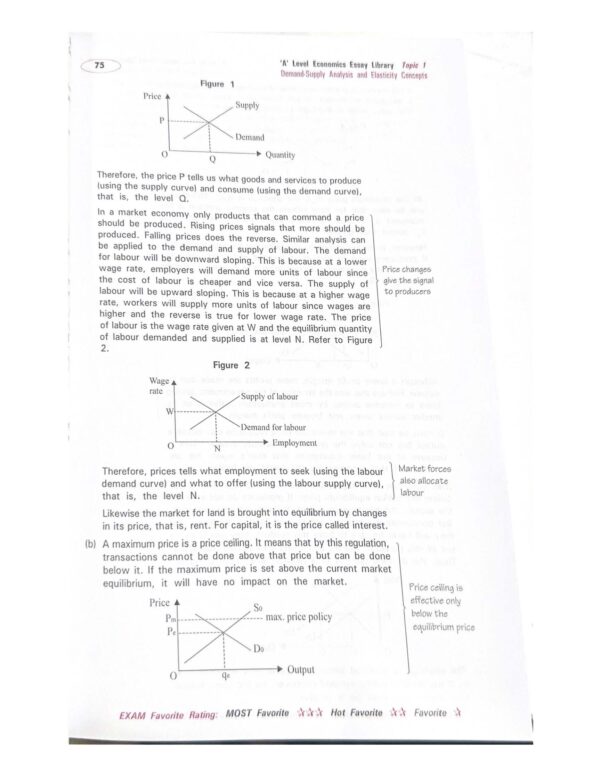 Upp.Sec. Advanced Vocabulary - Image 4